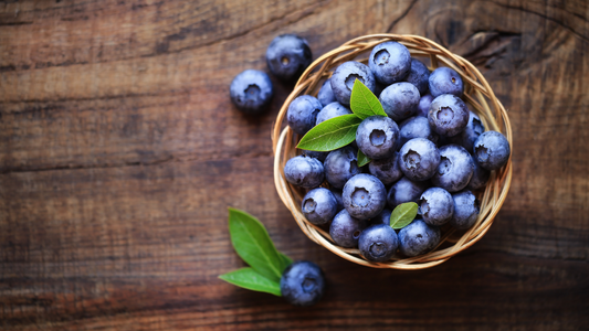 Finnish Blueberry extract