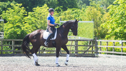 What makes horses supple, how to start training with a new horse and what makes a good rider